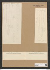 Climacosphenia moniligera Ehr. (de-Toni-Nr.: Genus 87, Species 2983) Zeichnungen Sammlung Grunow Nr. 6087 (NHMW-BOT-W0374607)
